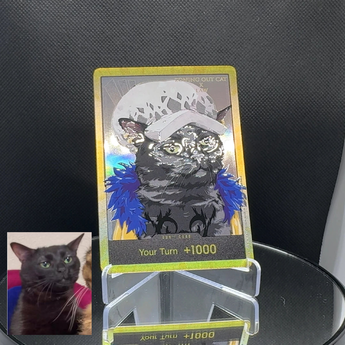 DON!! cat meme (EN)