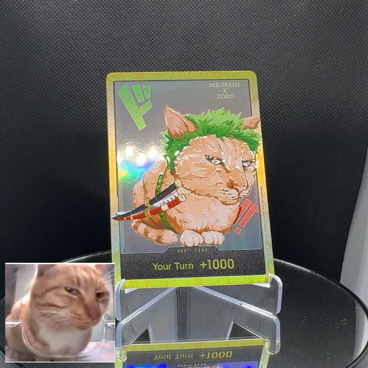 DON!! cat meme (EN)