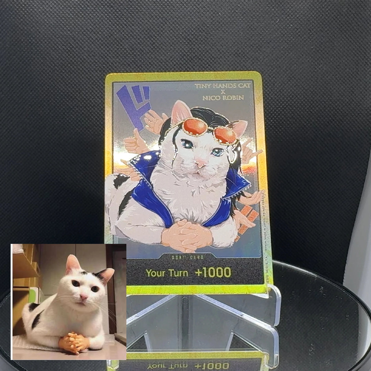DON!! cat meme (EN)